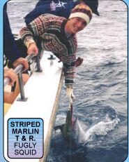 Marlin Caught on a Fugly Squid