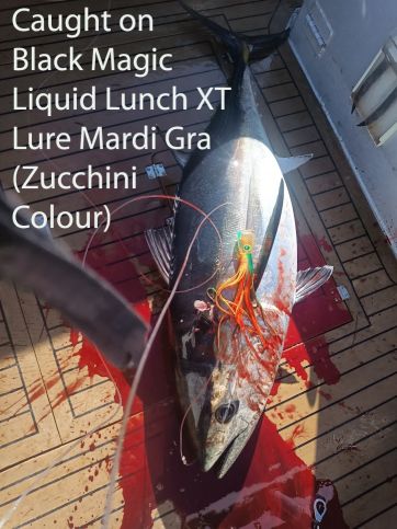black magic liquid lunch lure mardi gras 1