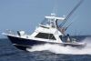 saltwater fishing