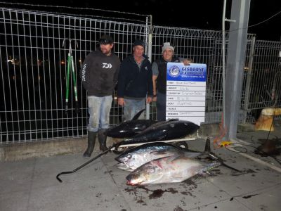 bluefin at weighin