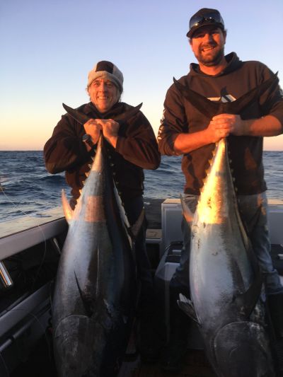 bluefin craig and i
